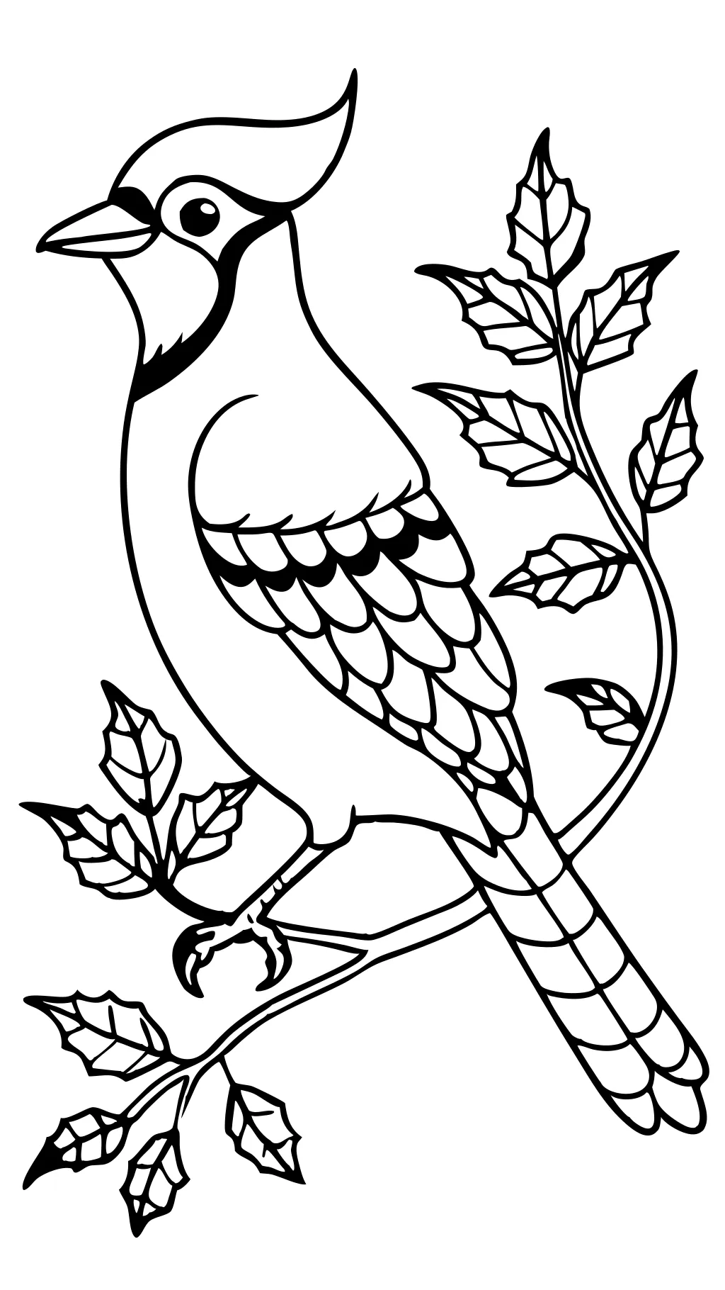 blue jay coloring pages